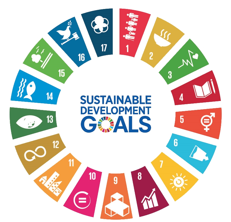 ENLILI The Sustainable Development Goals (SDGs)-17 sustainable development goals 2030
